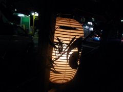 冬