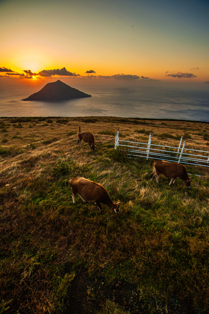 島からの夕景