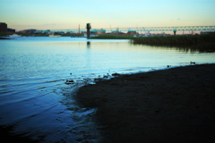 IMG_7440_R