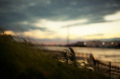 IMG_9623