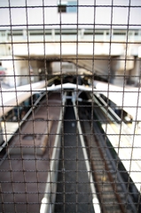 駅舎
