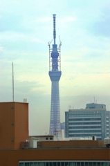 SKY-TREE