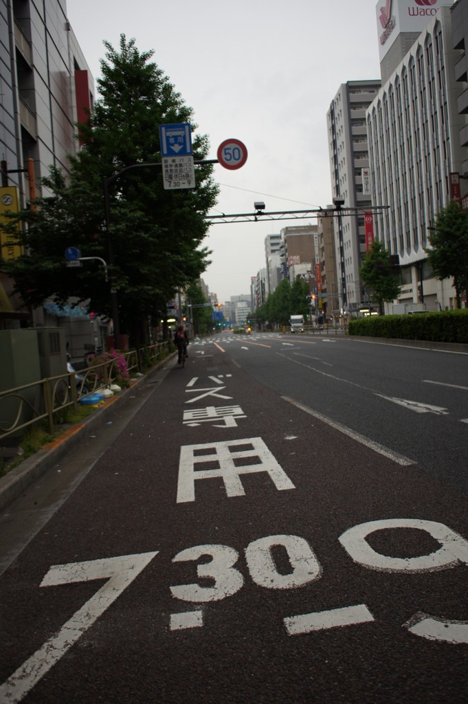 朝