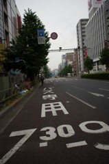 朝