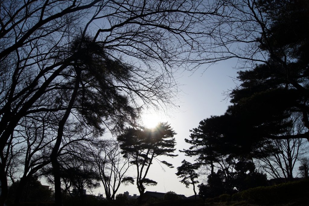 幹