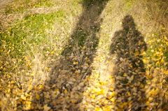 IMG_5957