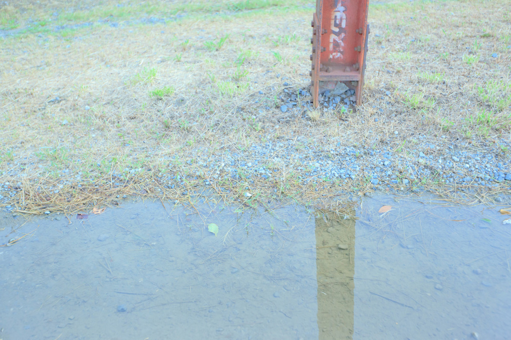 写り身