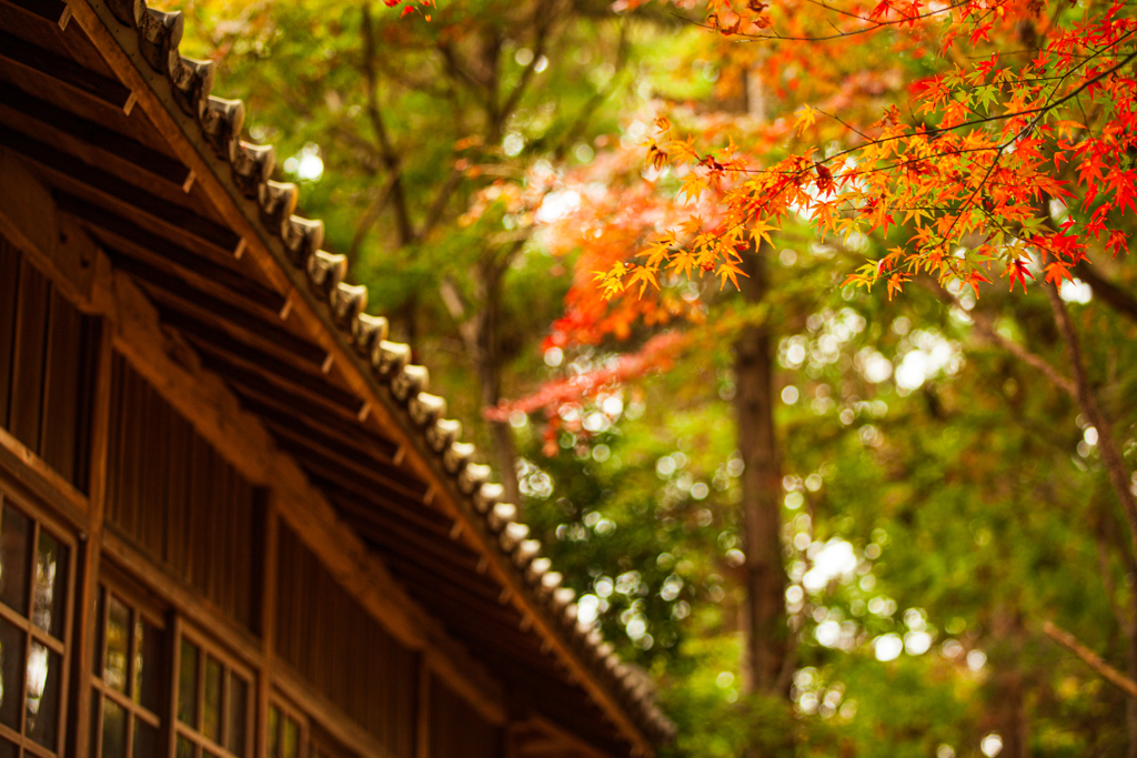 朱色の景色