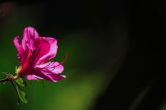 IMG_0158