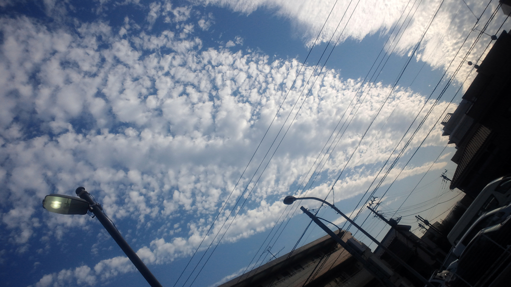 雲柱