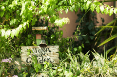 Little Garden