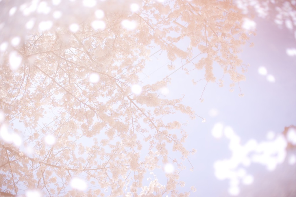 もう一つの空へ