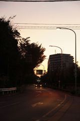 帰り行バス