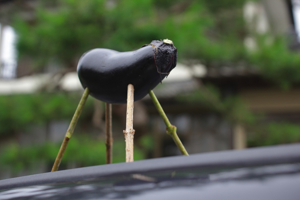 導いて