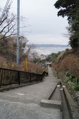 景