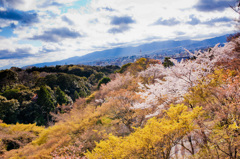 晴れ間に