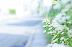 at spring.