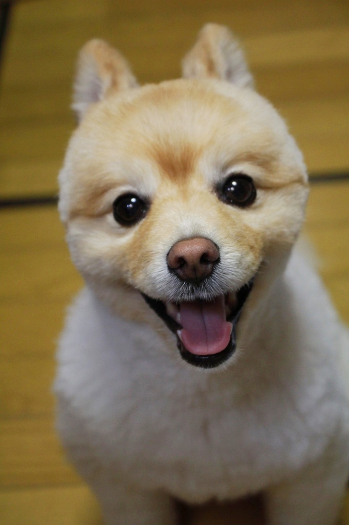 弟 with Smile