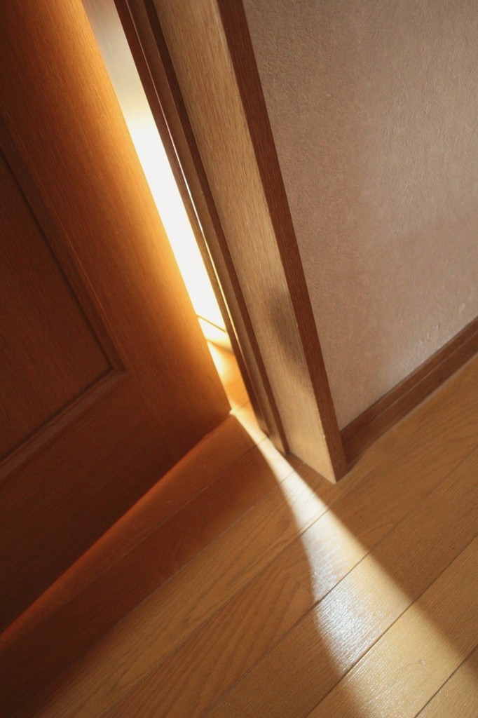木漏れ日