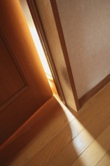 木漏れ日
