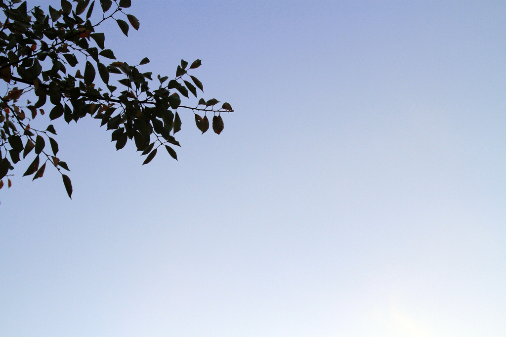 Gradation sky