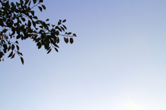 Gradation sky