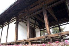 社