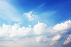夏空に