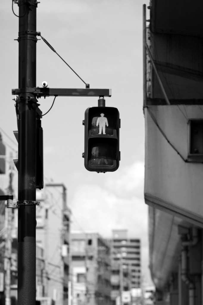 IMG_7443