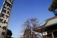 漸
