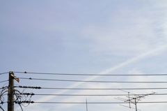 空の五線譜