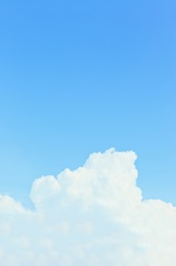 夏雲の季節です