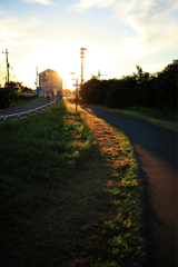 IMG_7417_R