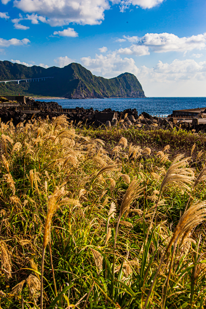 島の景色