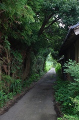 誘い道