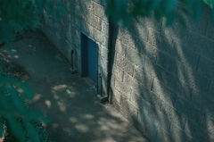 IMG_4520