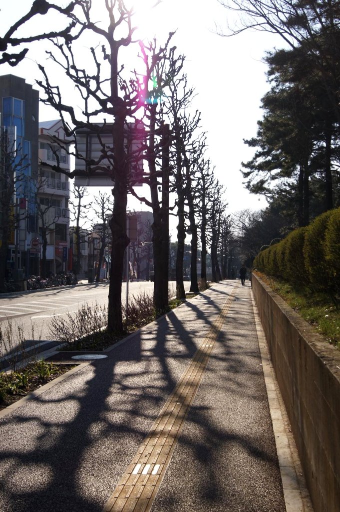帰道