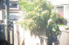 車窓のこと