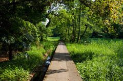 夏まで