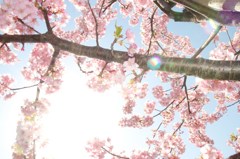 晴天の空に