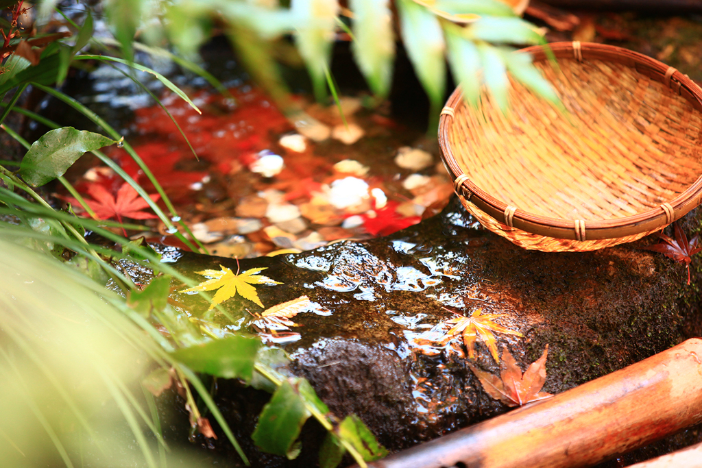 紅葉と水面