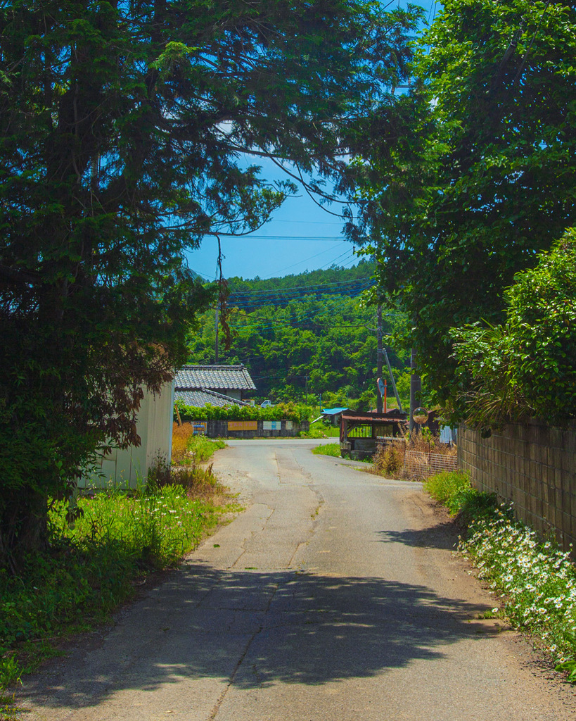 田舎道