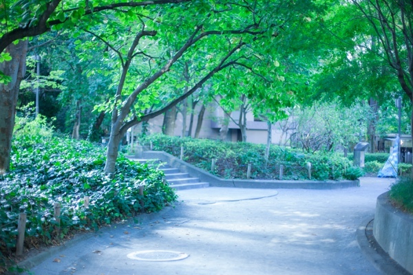 緑の回廊