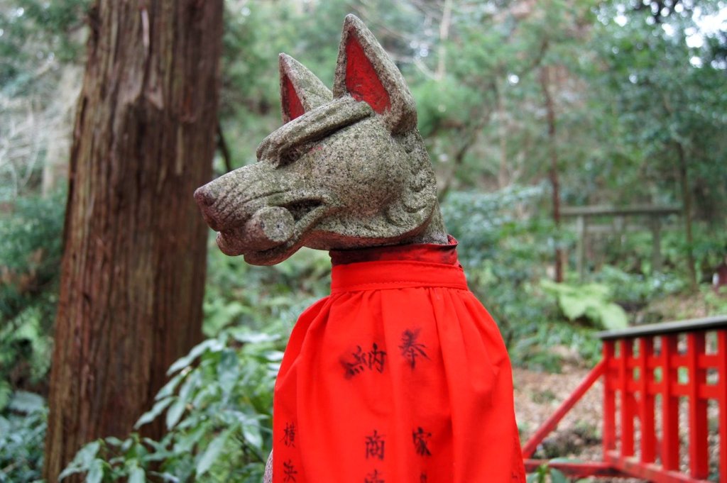 狐