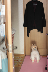 弟くん