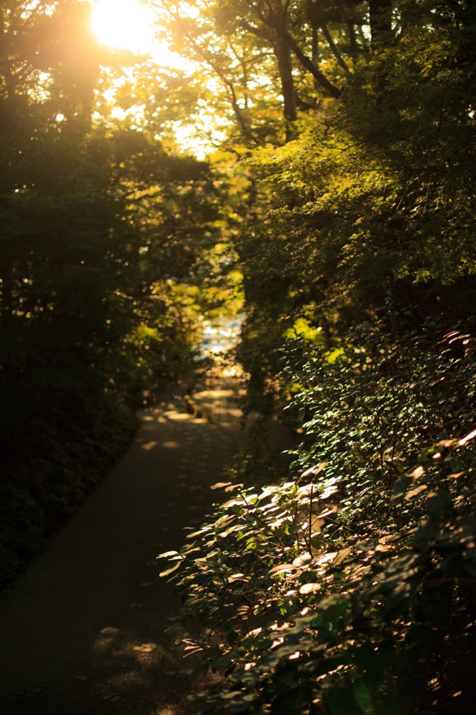 夕景道