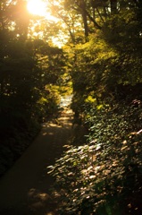 夕景道