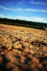 IMG_7345_R