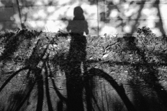 IMG_7243_R