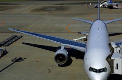 飛行機